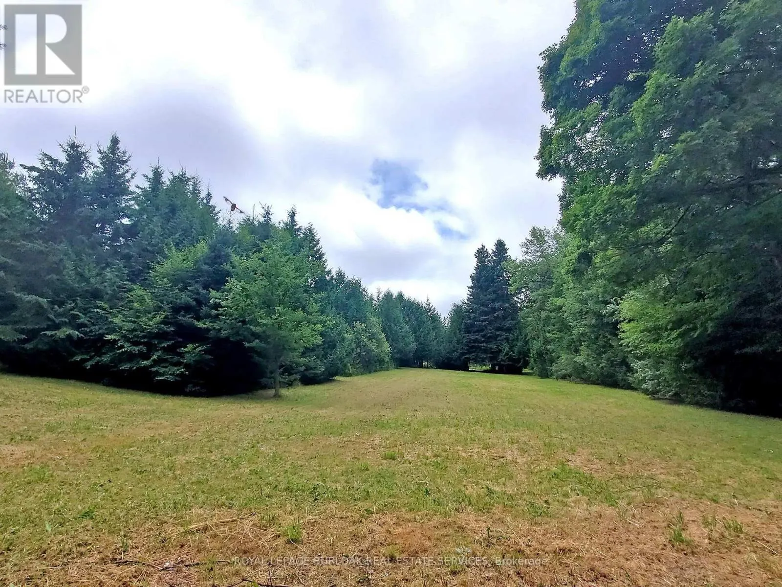 569 HIGHPOINT SIDE ROAD