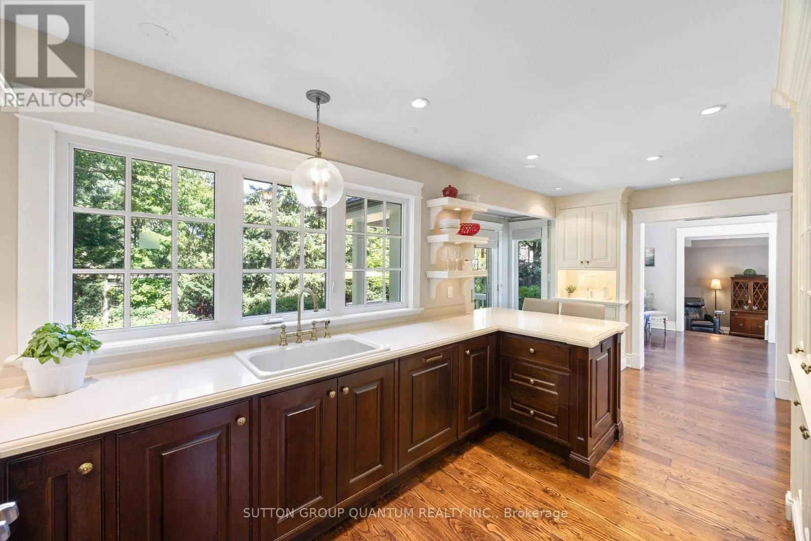 1197 BIRCHVIEW DRIVE