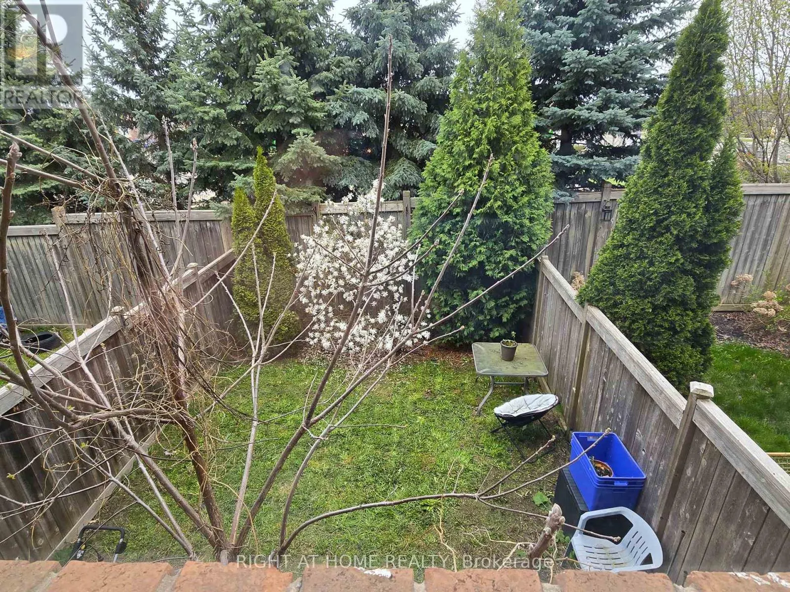 2441 COHO WAY