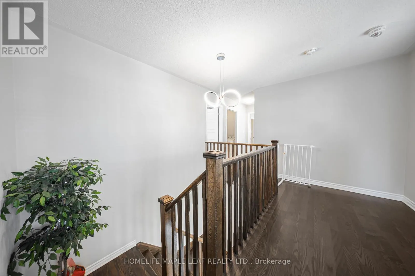 297 REIS PLACE