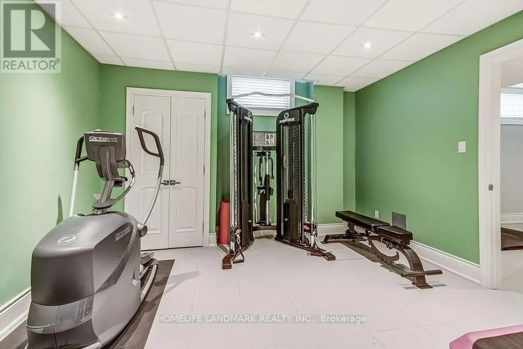 BASEMENT - 21 BOYLEN STREET