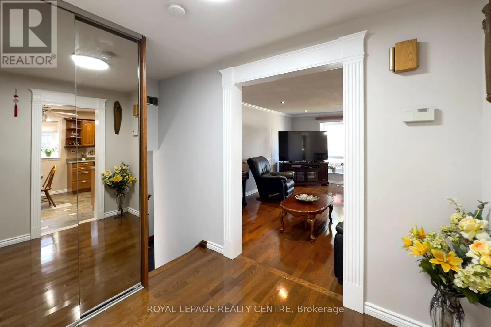254 LOUIS DRIVE