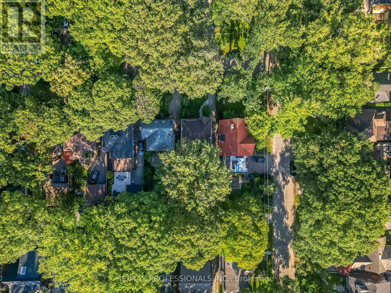 6 PRINCETON ROAD