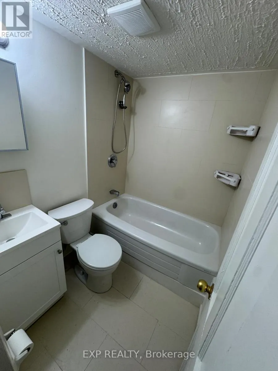 BASEMENT - 227 EVELYN AVENUE