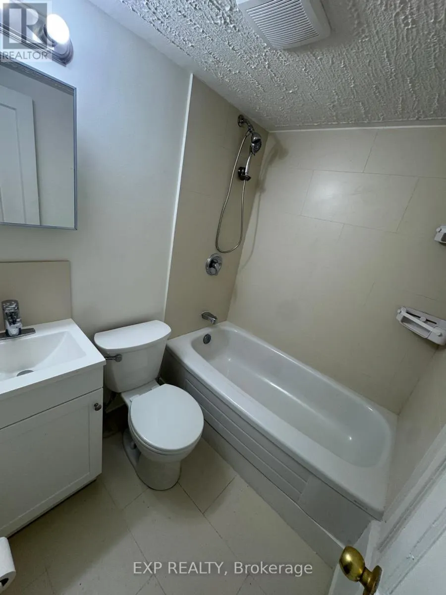BASEMENT - 227 EVELYN AVENUE