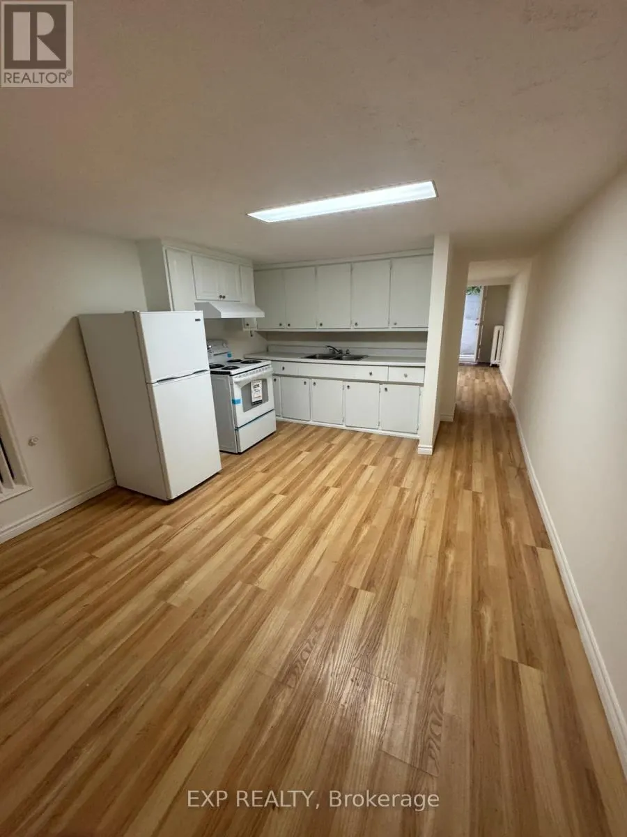 BASEMENT - 227 EVELYN AVENUE