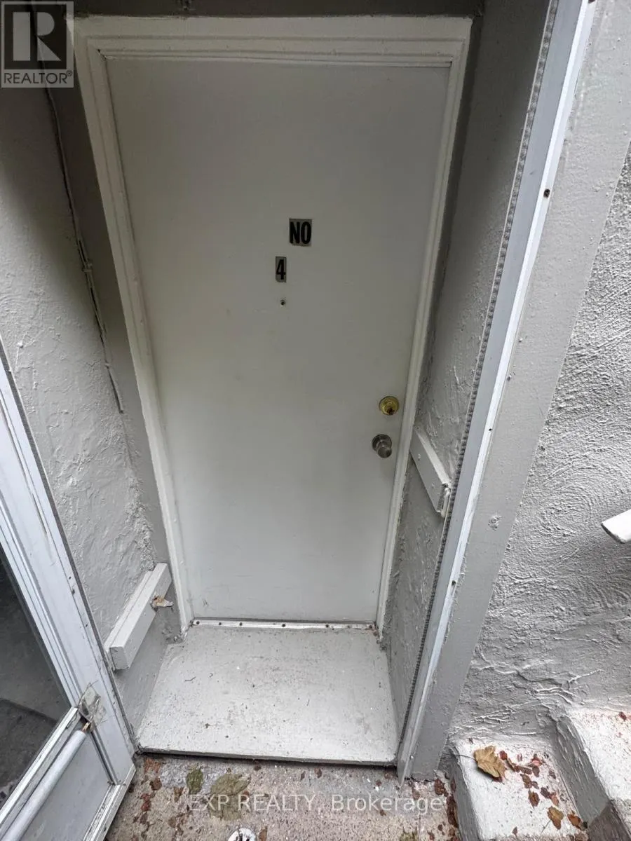 BASEMENT - 227 EVELYN AVENUE