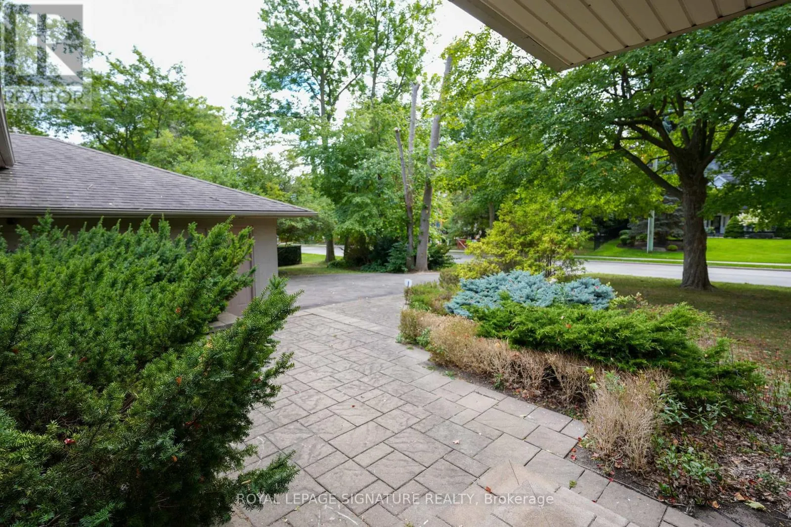 169 MAPLE GROVE DRIVE