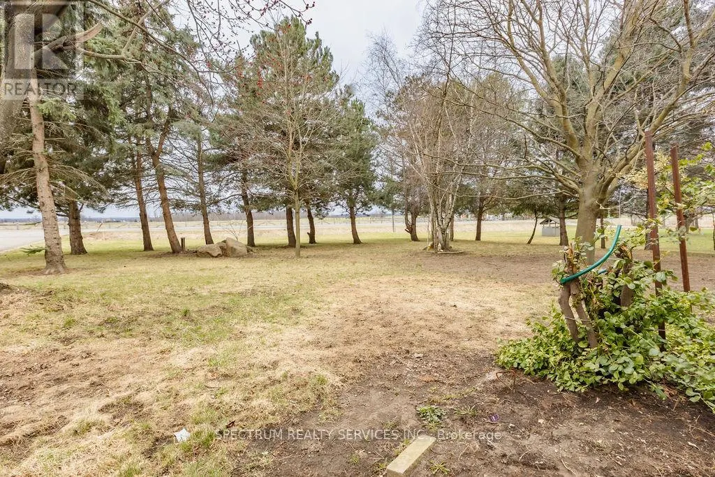 12777 MISSISSAUGA ROAD