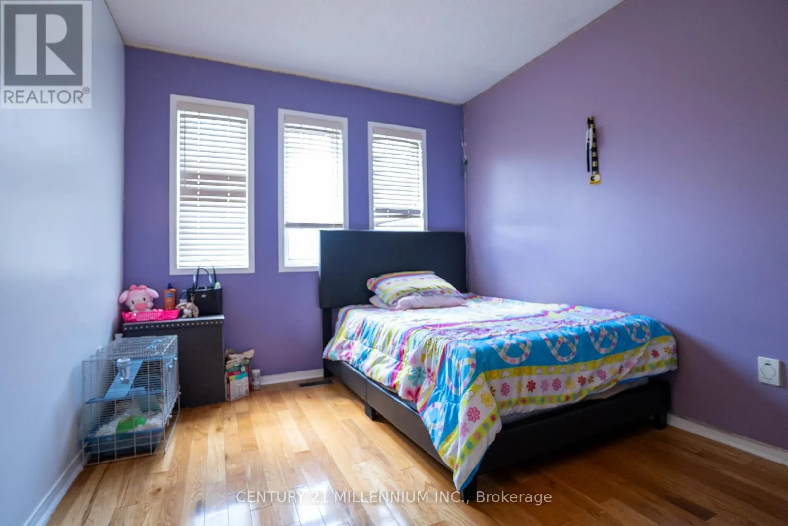 11 BLAIRWOOD COURT