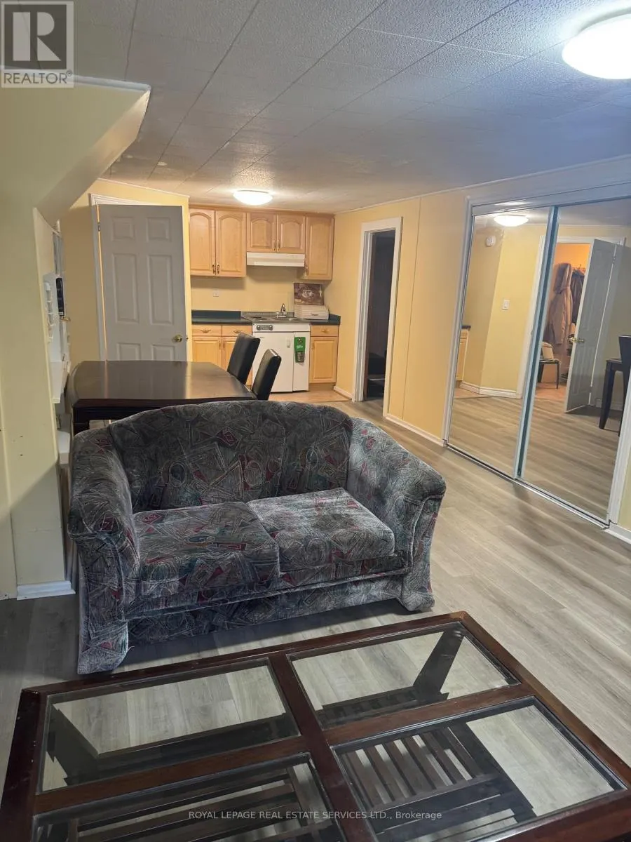 BASEMENT - 447 SANDMERE PLACE