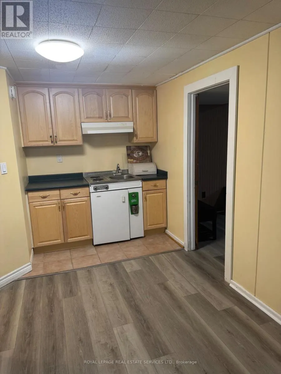 BASEMENT - 447 SANDMERE PLACE