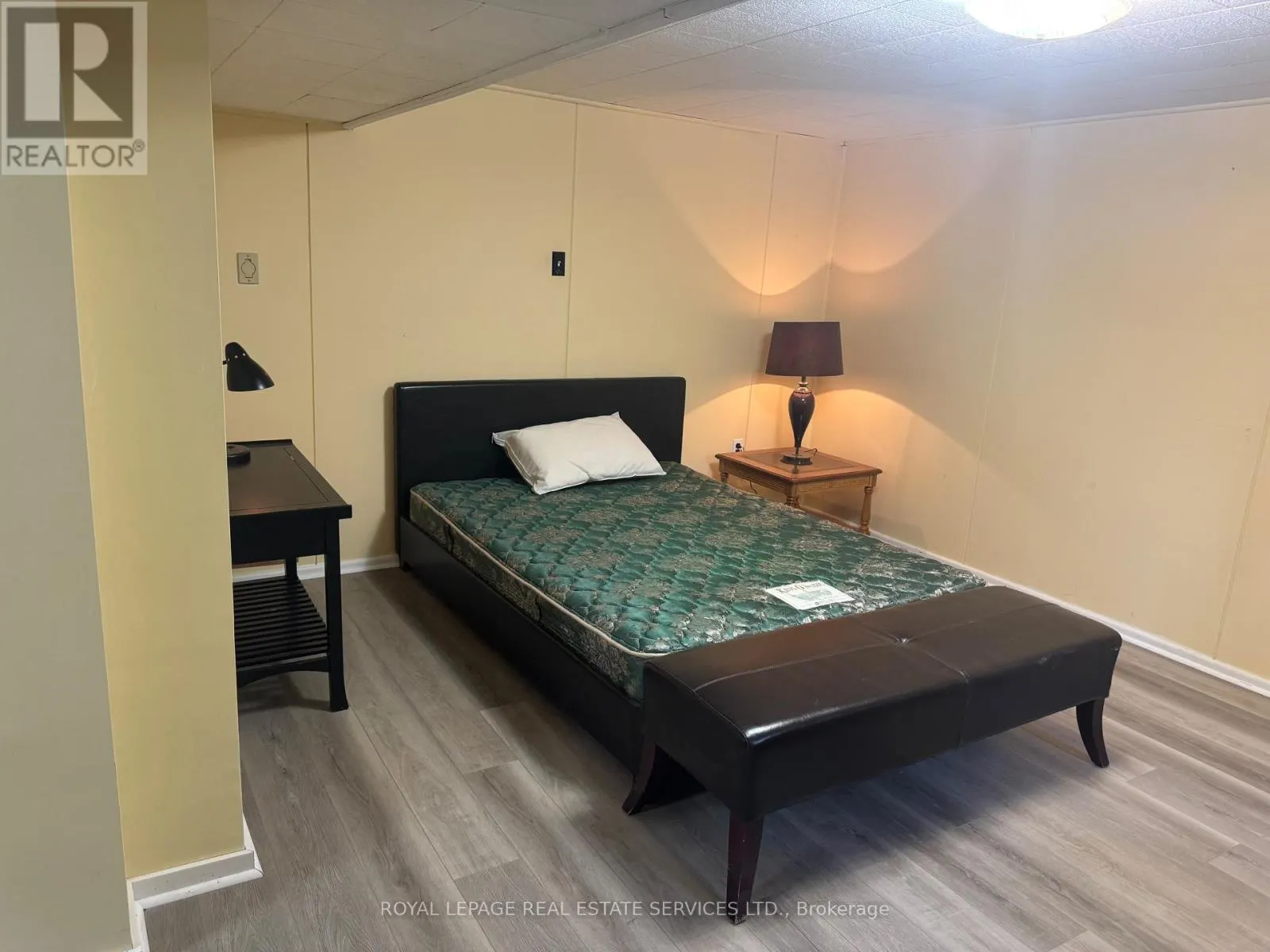 BASEMENT - 447 SANDMERE PLACE