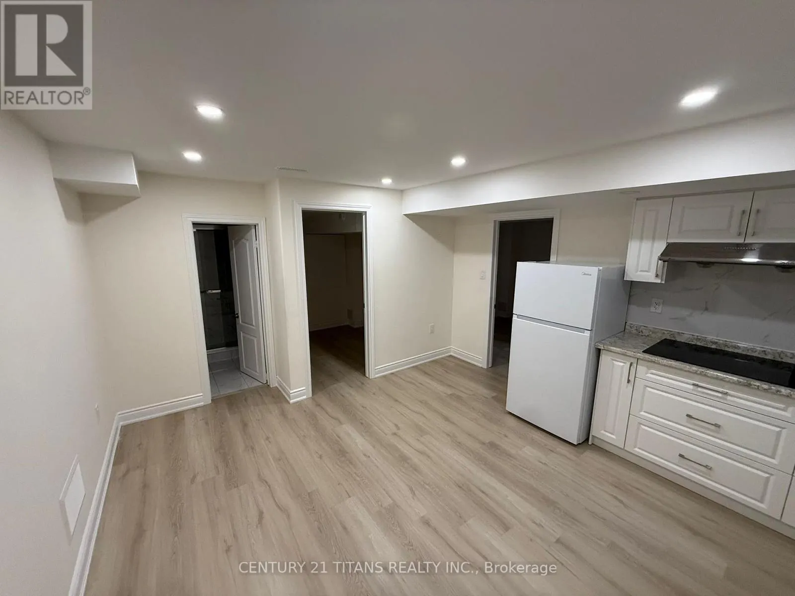 BASEMENT - 207 CLOCKWORK DRIVE