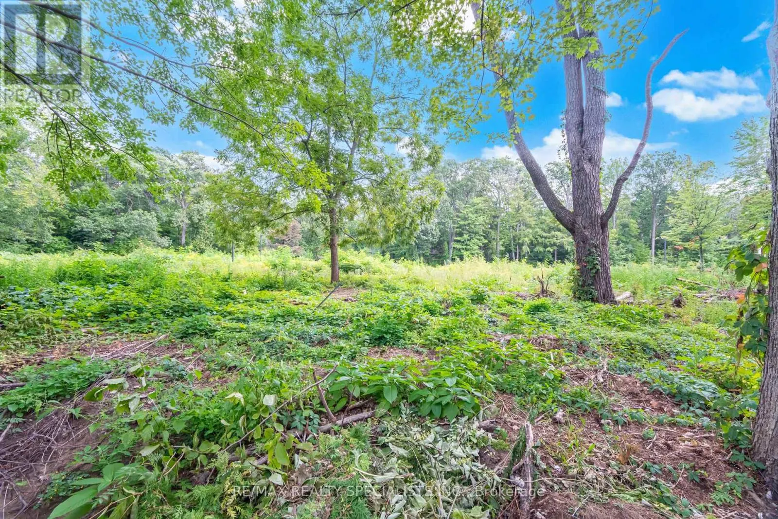 168 BREEZY PINES DRIVE