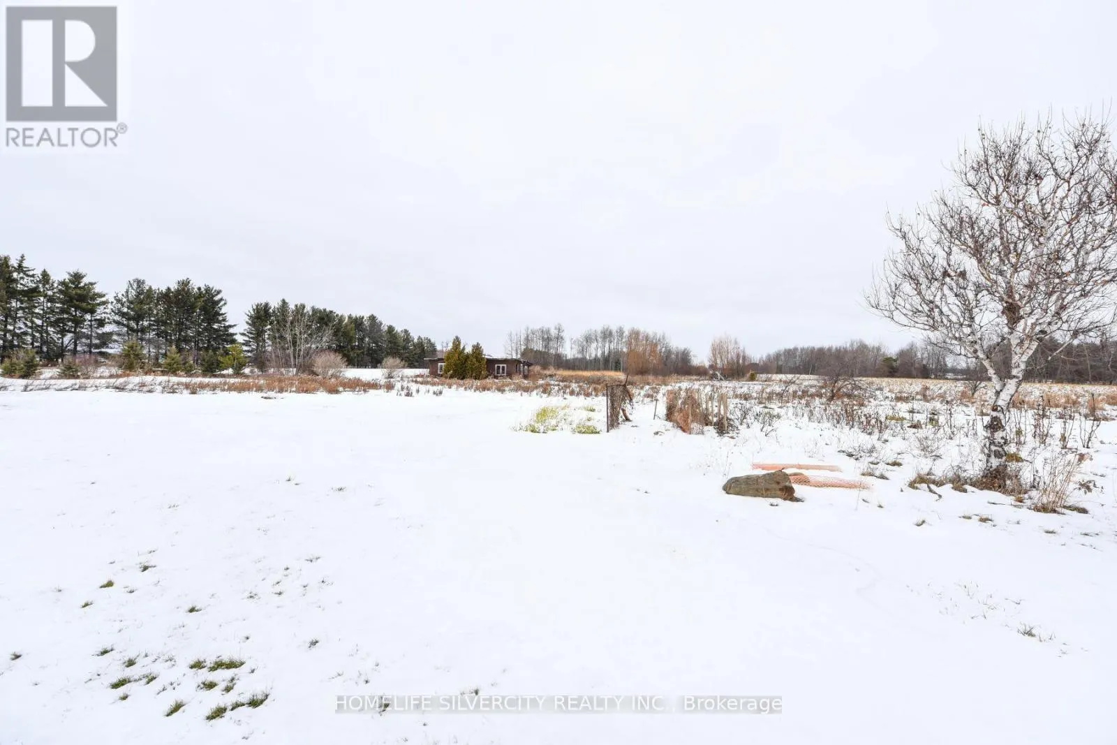 14707 DIXIE ROAD