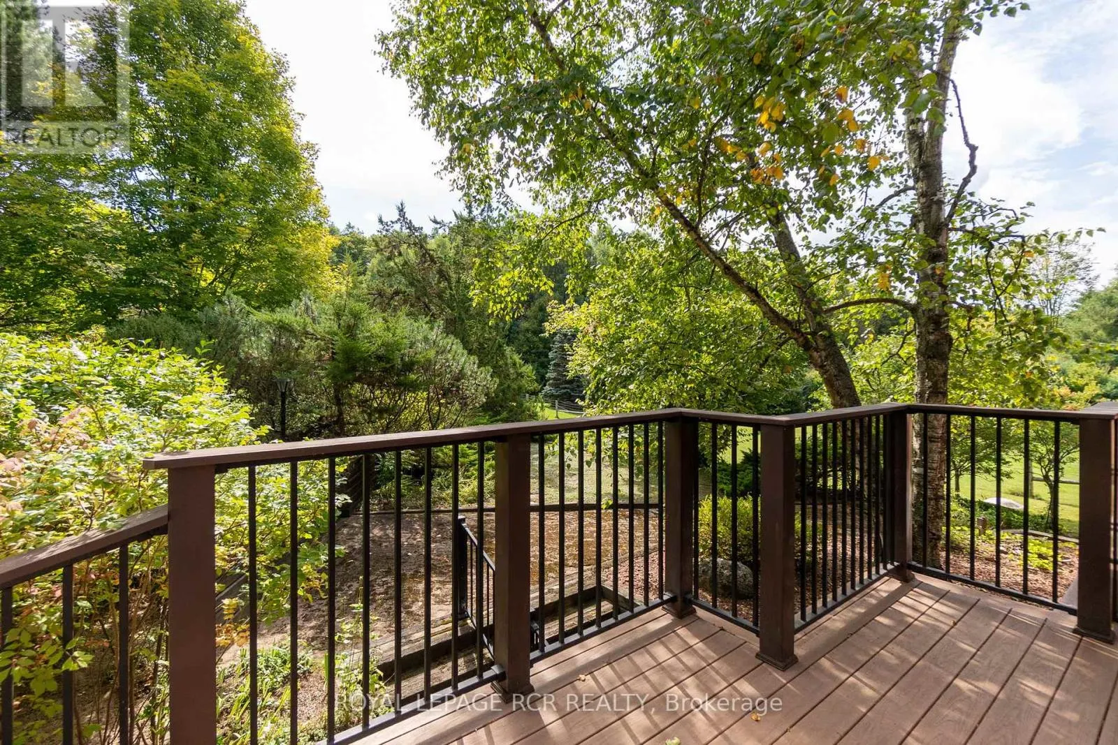 8225 FINNERTY SIDE ROAD