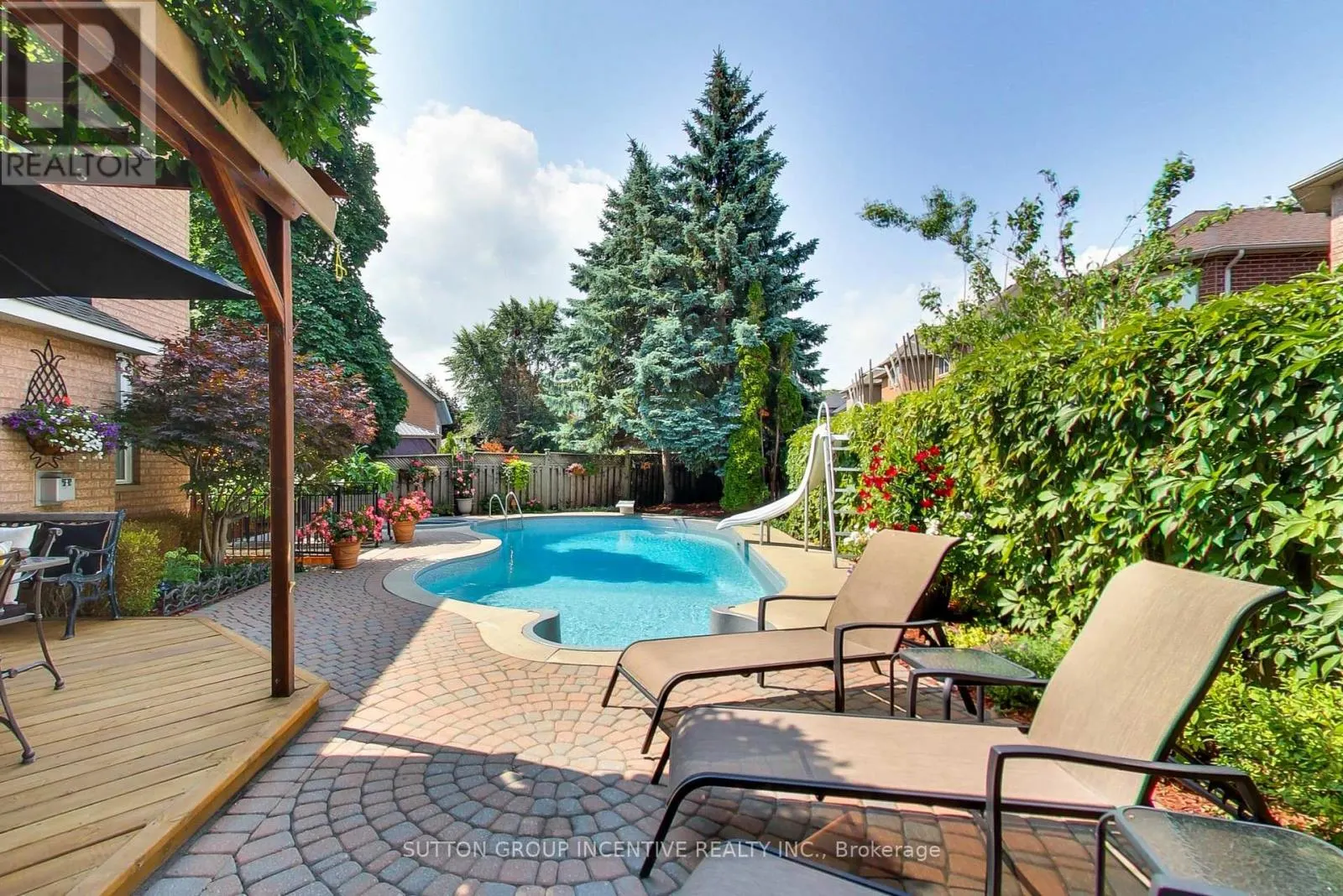 11 SAFARI COURT