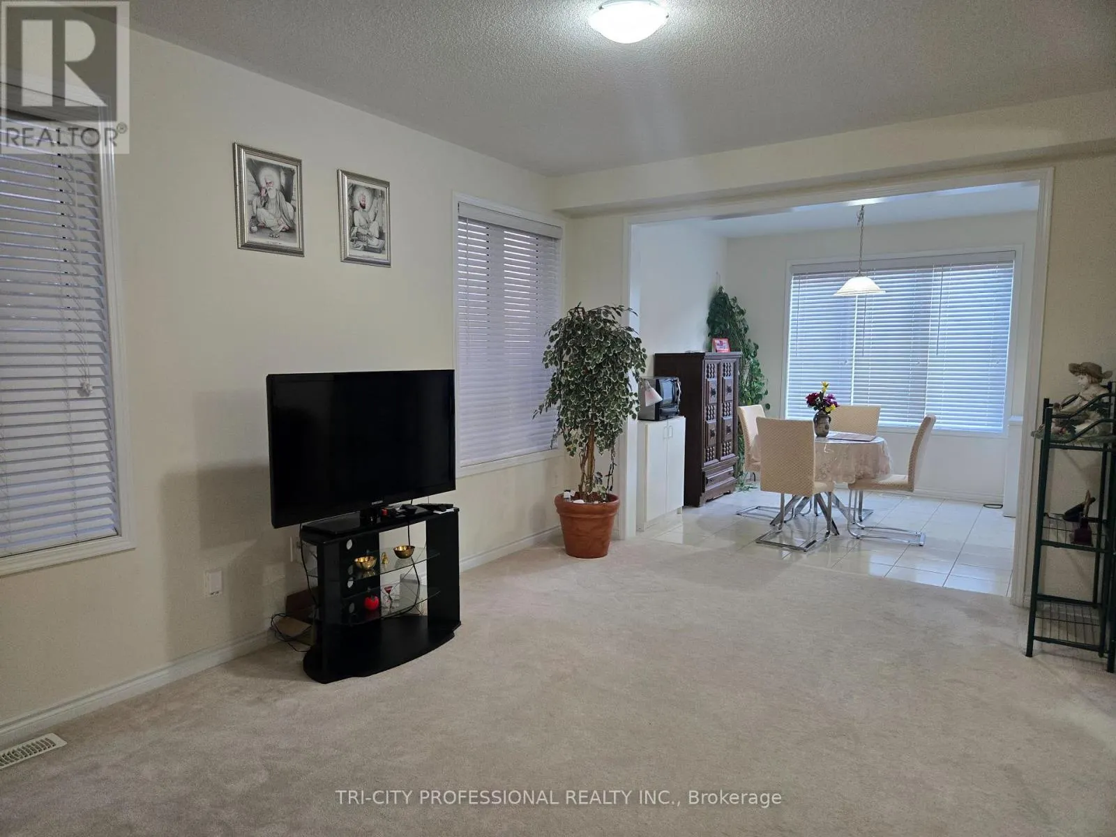 520 EDENBROOK HILL DRIVE