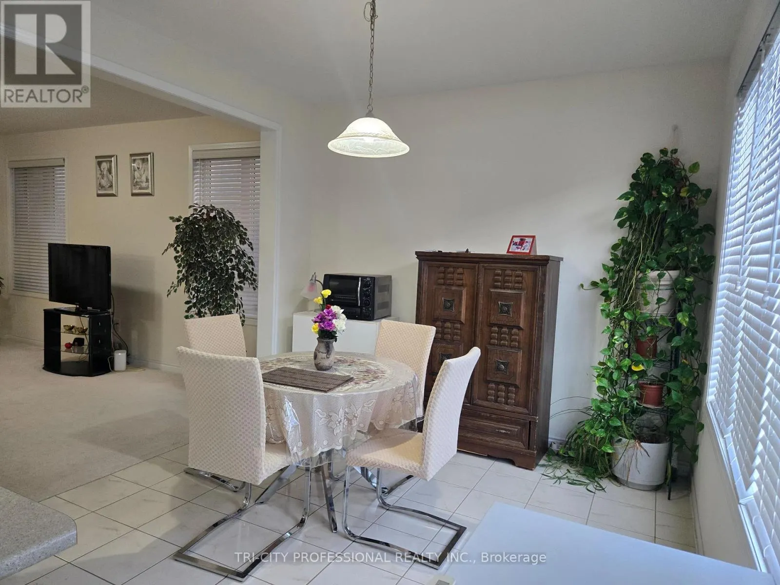 520 EDENBROOK HILL DRIVE