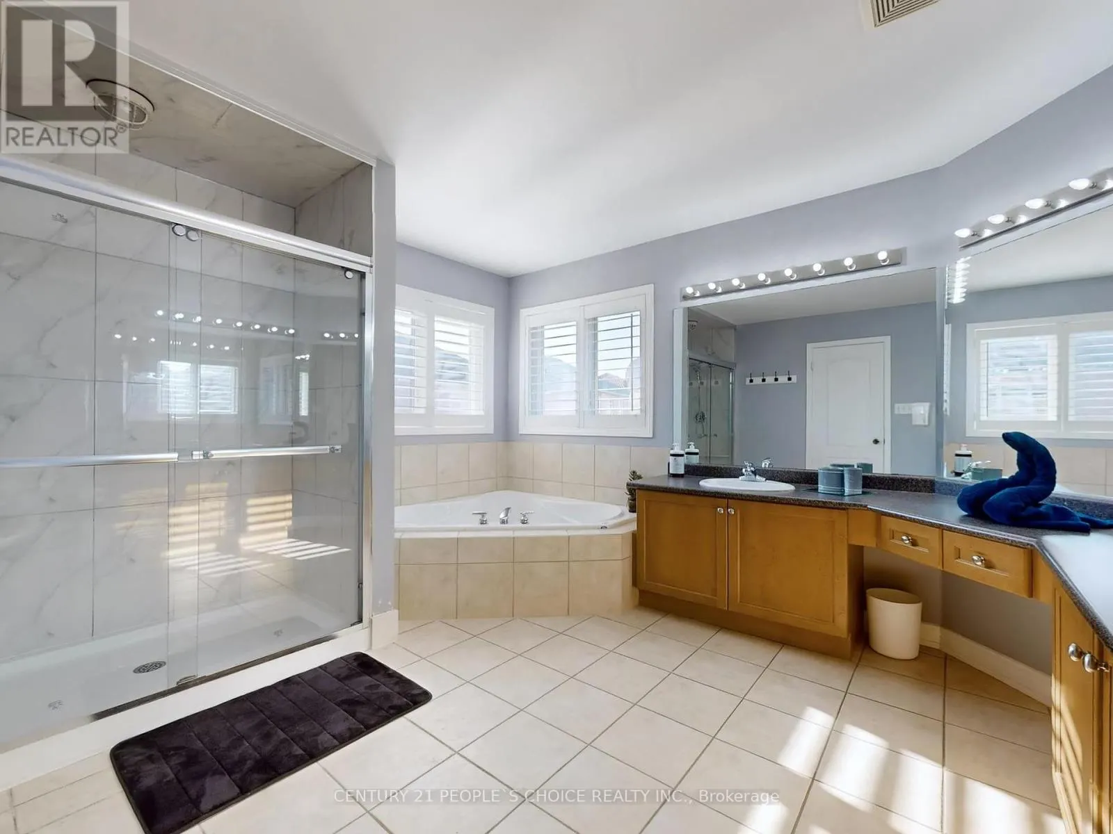 230 EDENBROOK HILL DRIVE