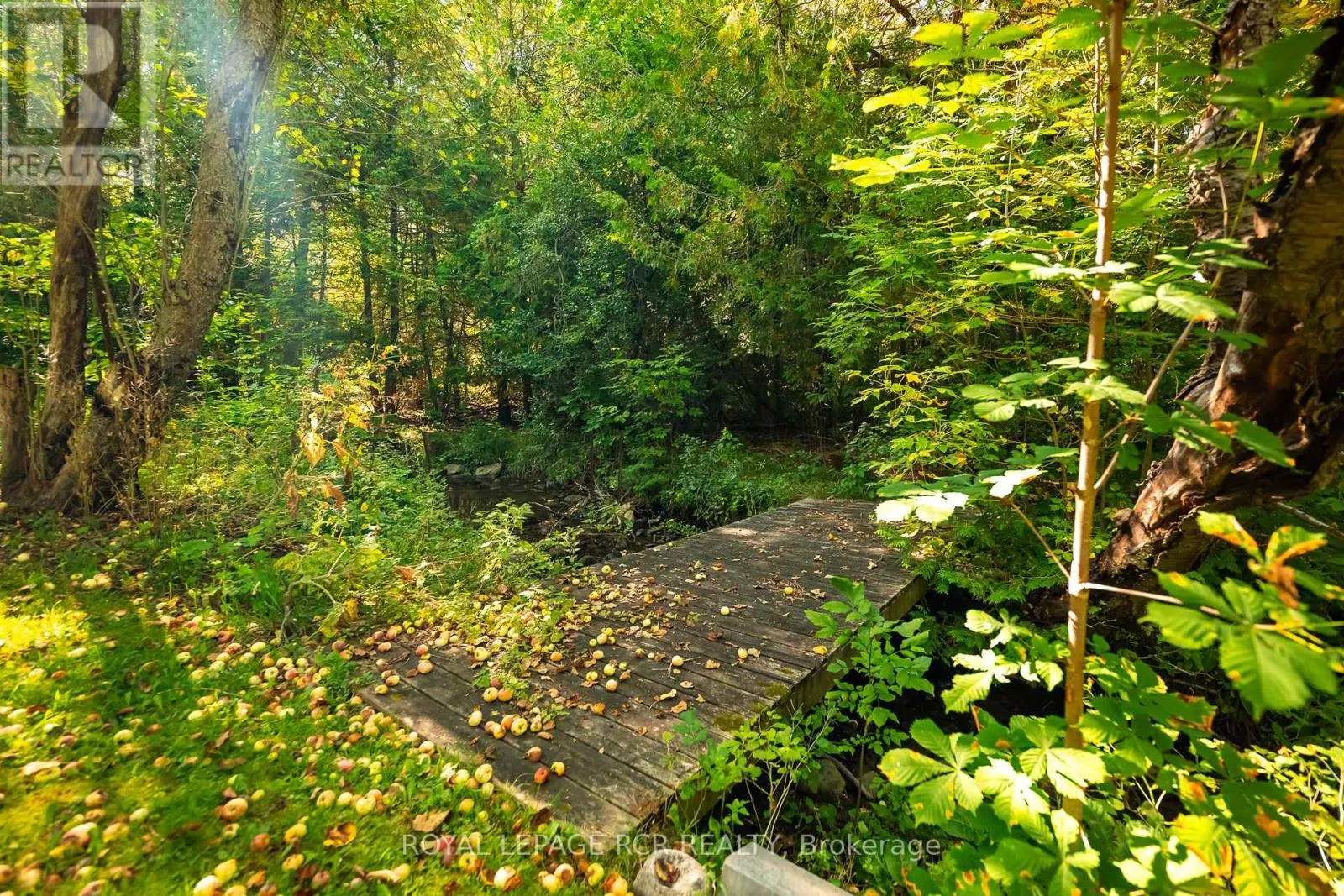 33 FOREST PARK ROAD