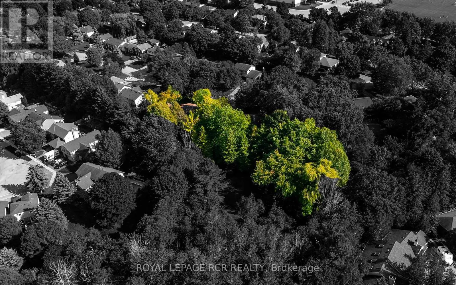 33 FOREST PARK ROAD