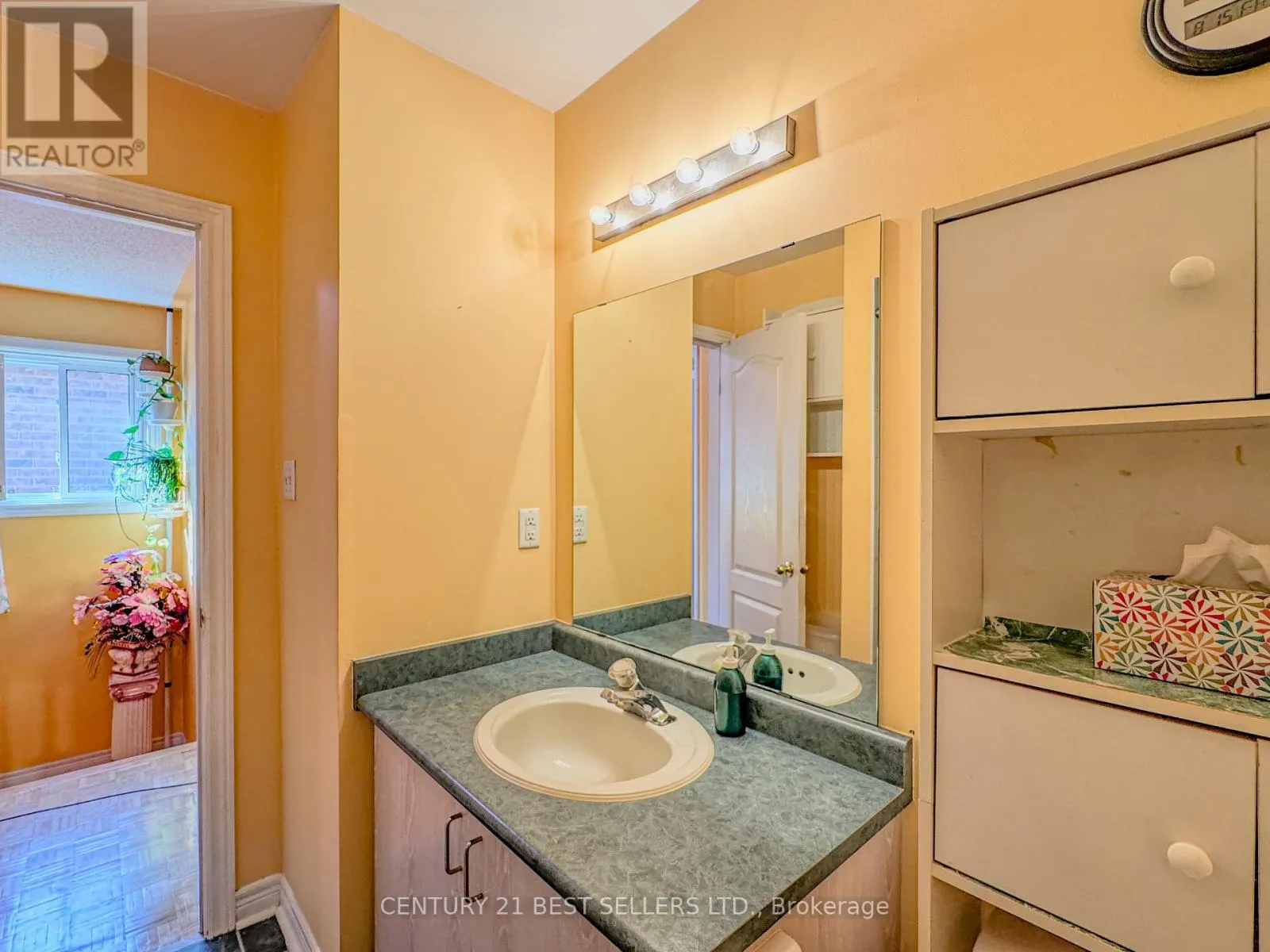 5347 RED BRUSH DRIVE
