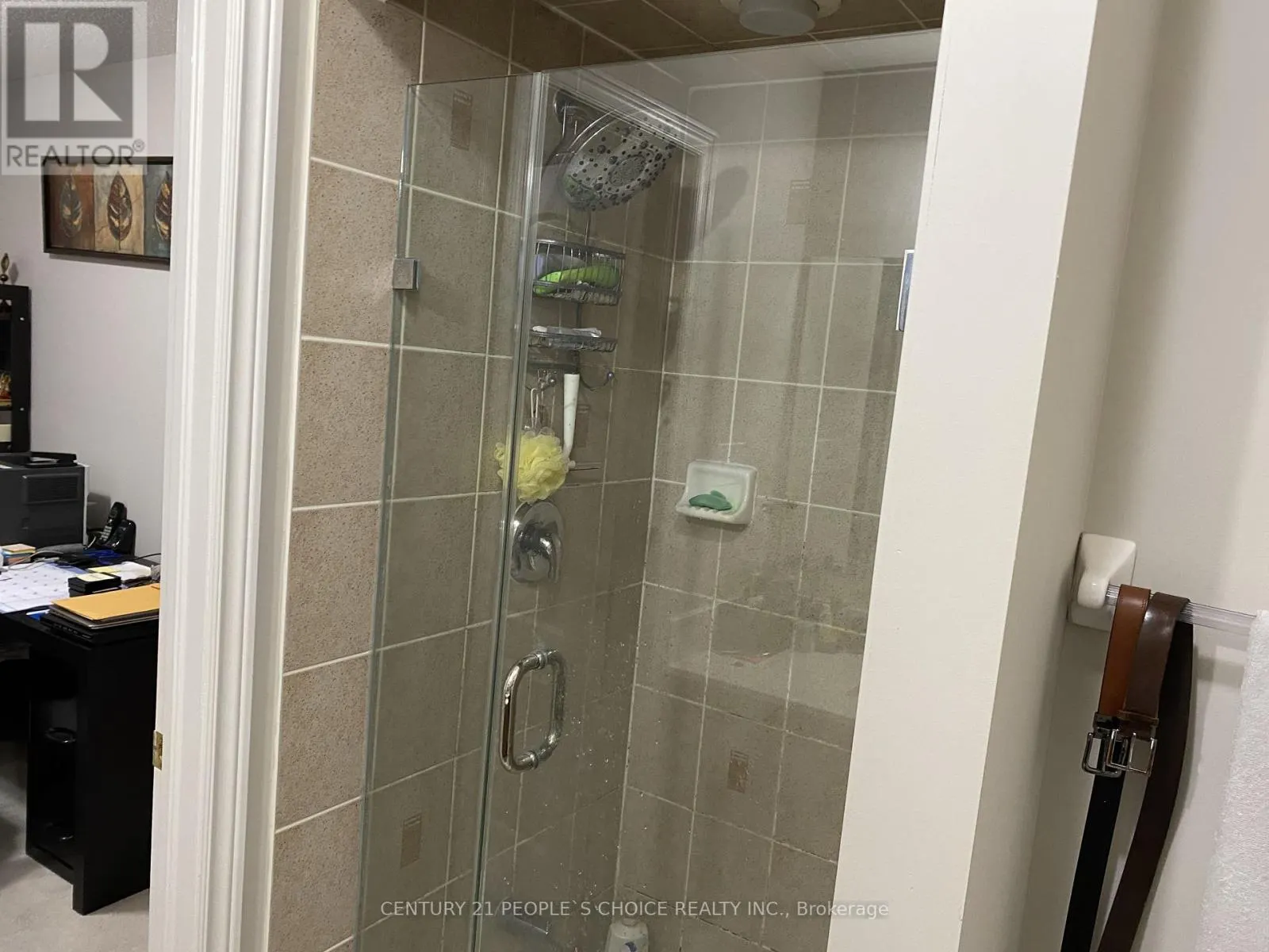 4757 BLUEFEATHER LANE