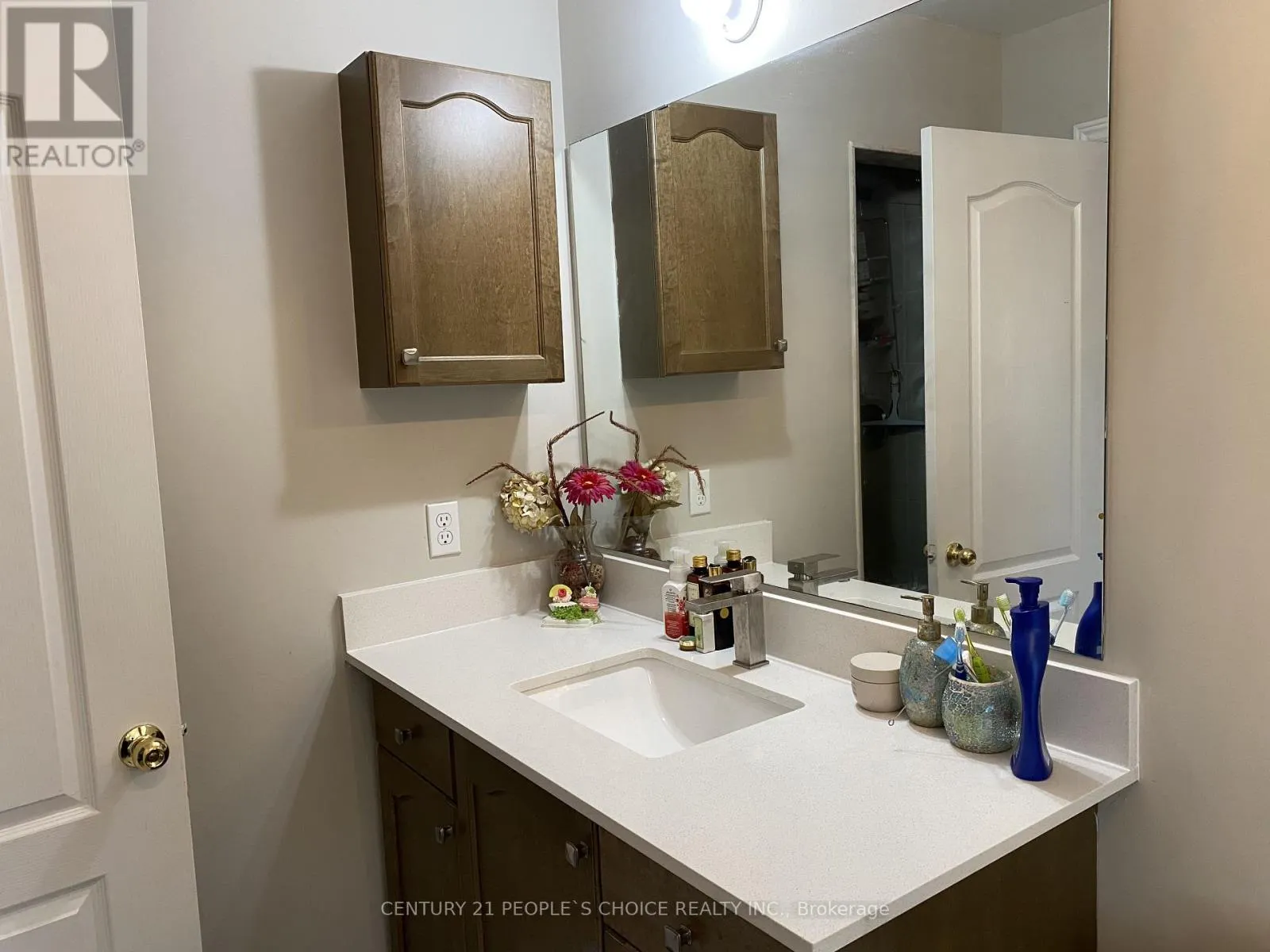 4757 BLUEFEATHER LANE