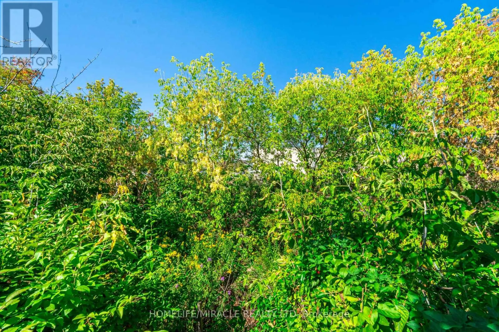 764 EAGLEMOUNT CRESCENT