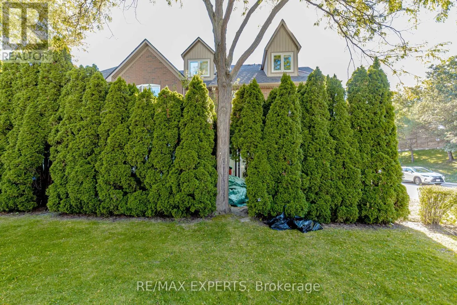 17B - 1084 QUEEN STREET W