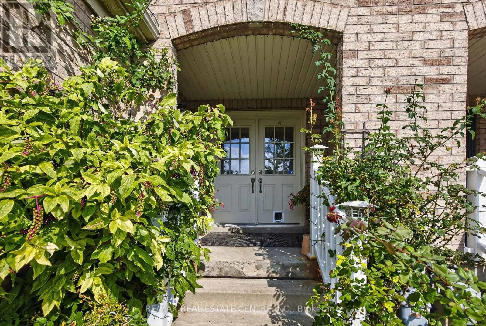 64 BIG MOE CRESCENT