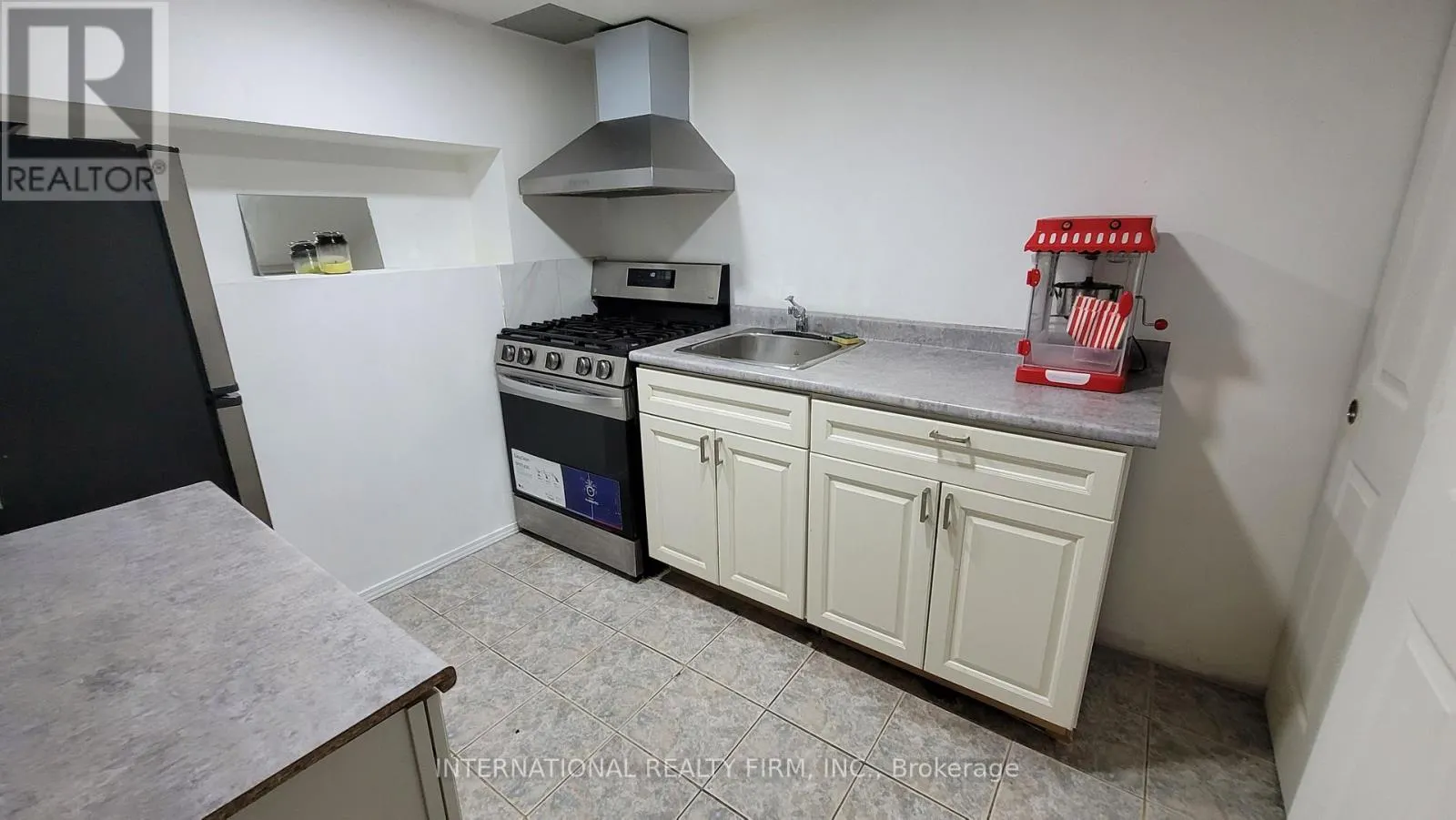 BASEMENT - 230 ROSEMOUNT AVENUE