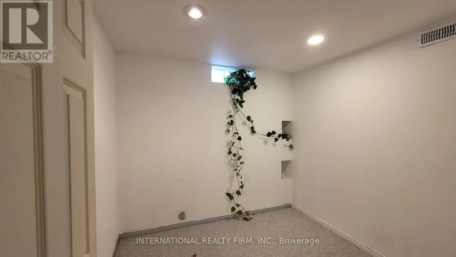 BASEMENT - 230 ROSEMOUNT AVENUE