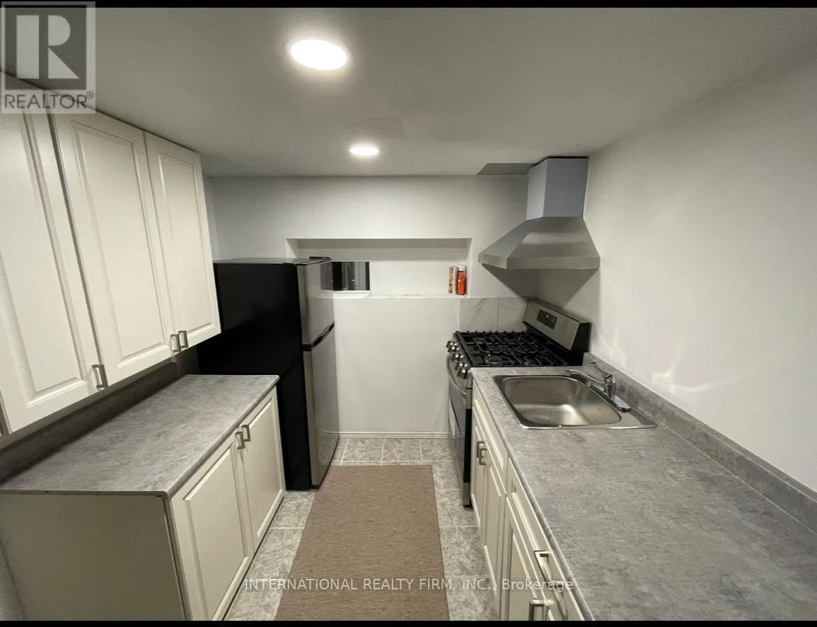 BASEMENT - 230 ROSEMOUNT AVENUE