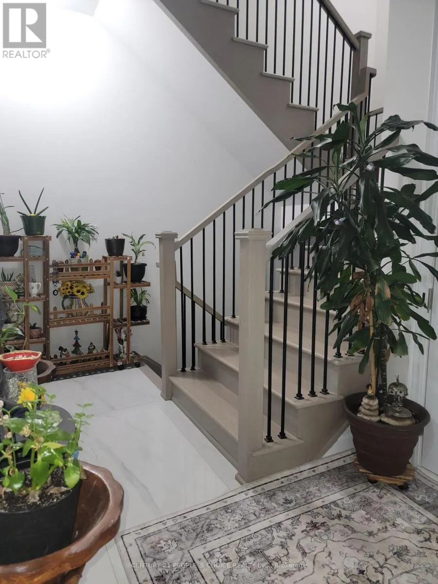 3253 DOVE DRIVE