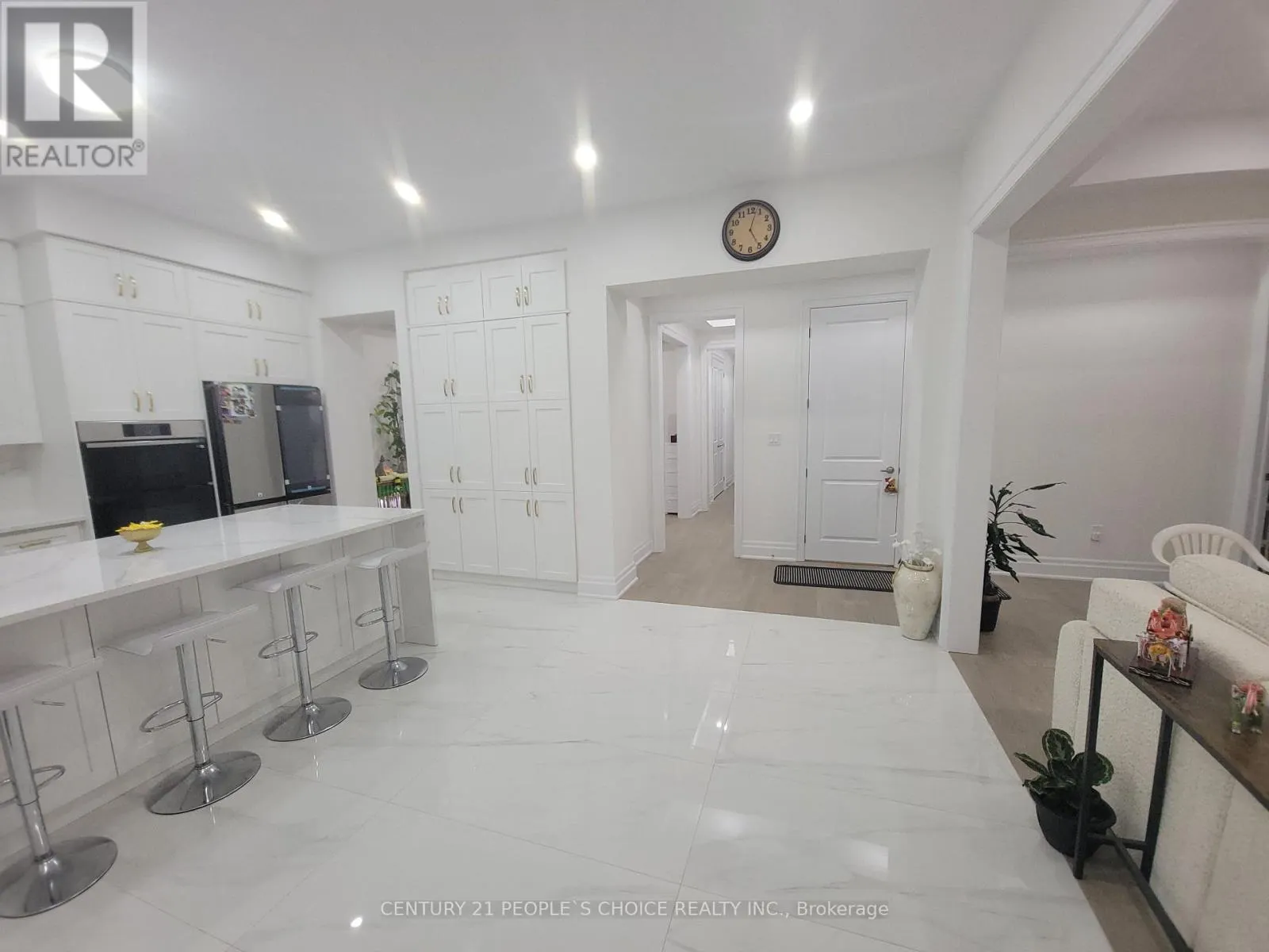 3253 DOVE DRIVE