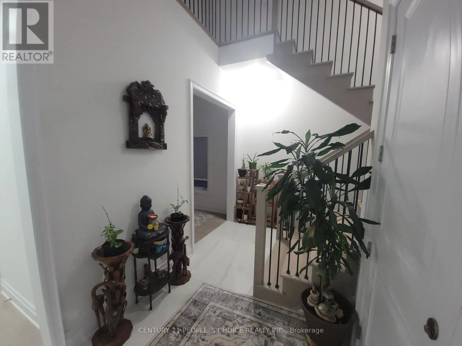 3253 DOVE DRIVE