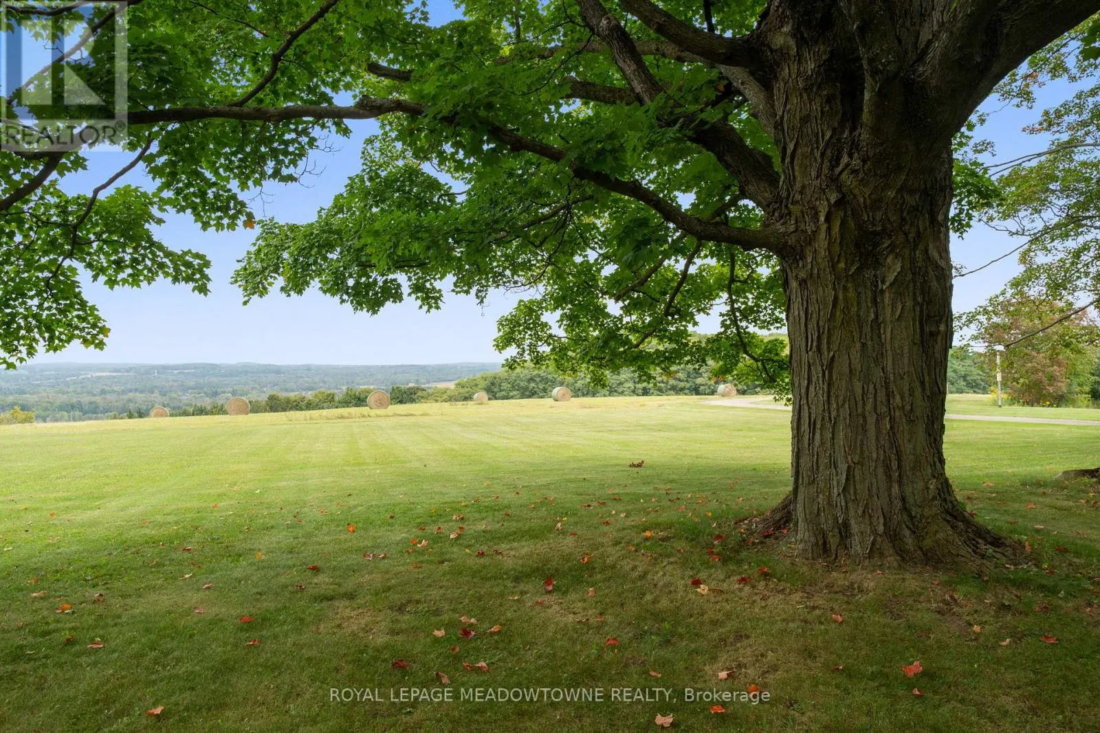 2097 GRANGE SIDE ROAD
