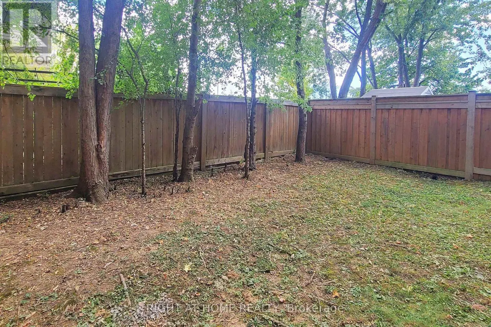 2003 DEERVIEW COMMON