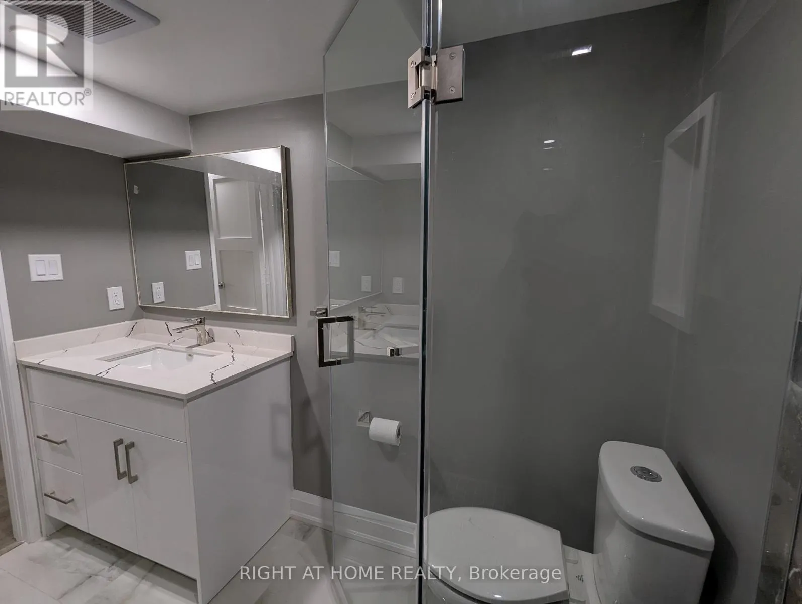 BASEMENT - 250 HARROWSMITH DRIVE