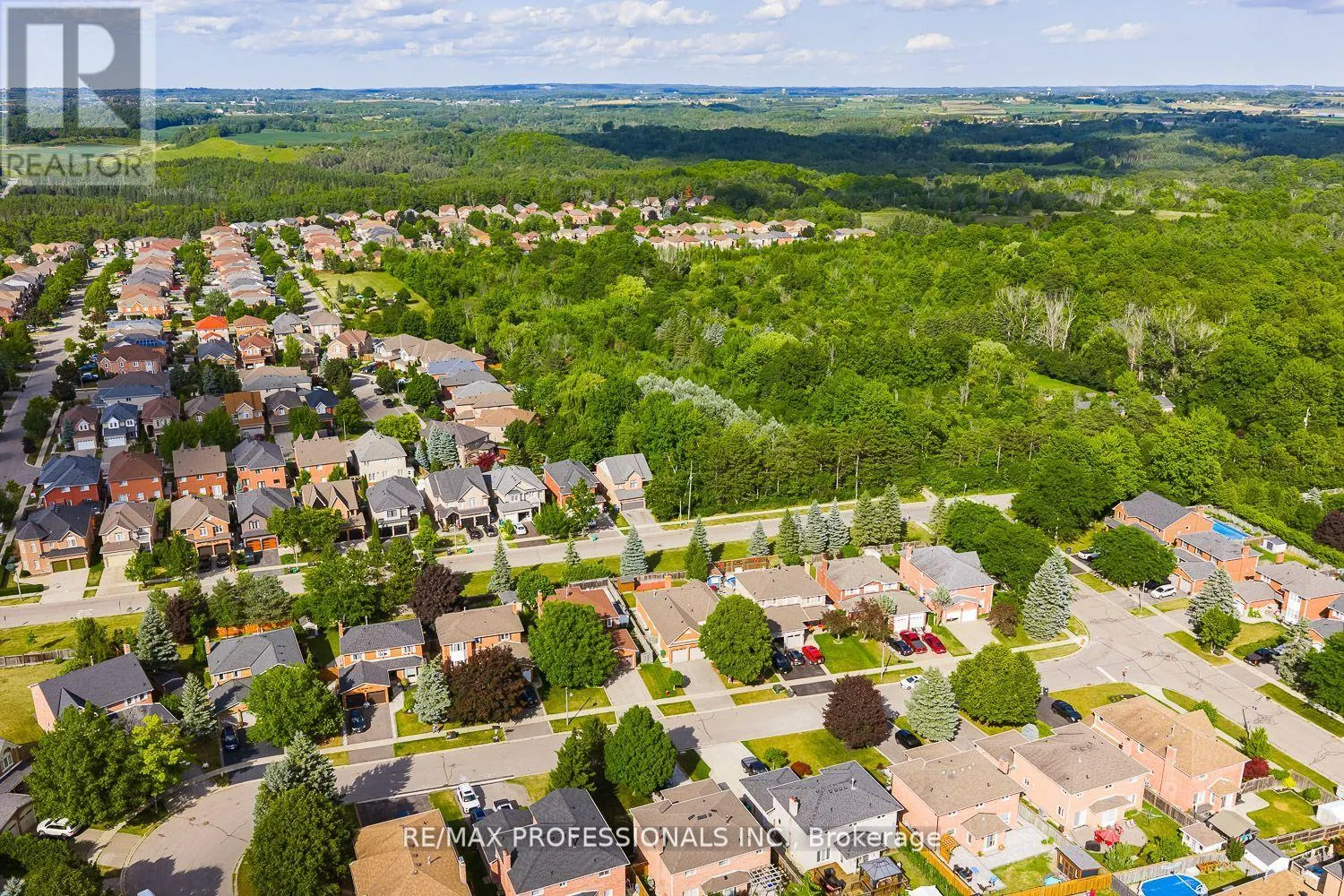 41 MCCABE CRESCENT