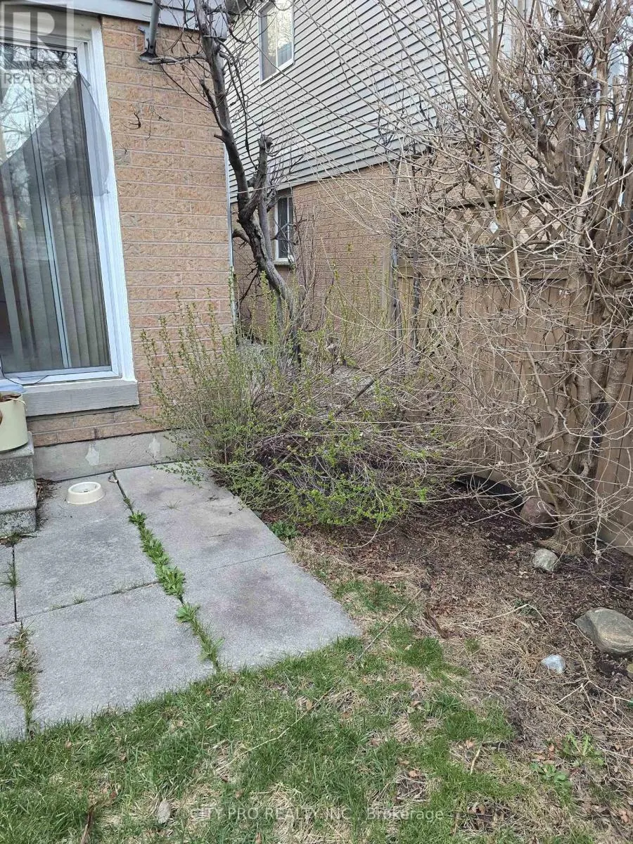 55 RAIN LILY LANE