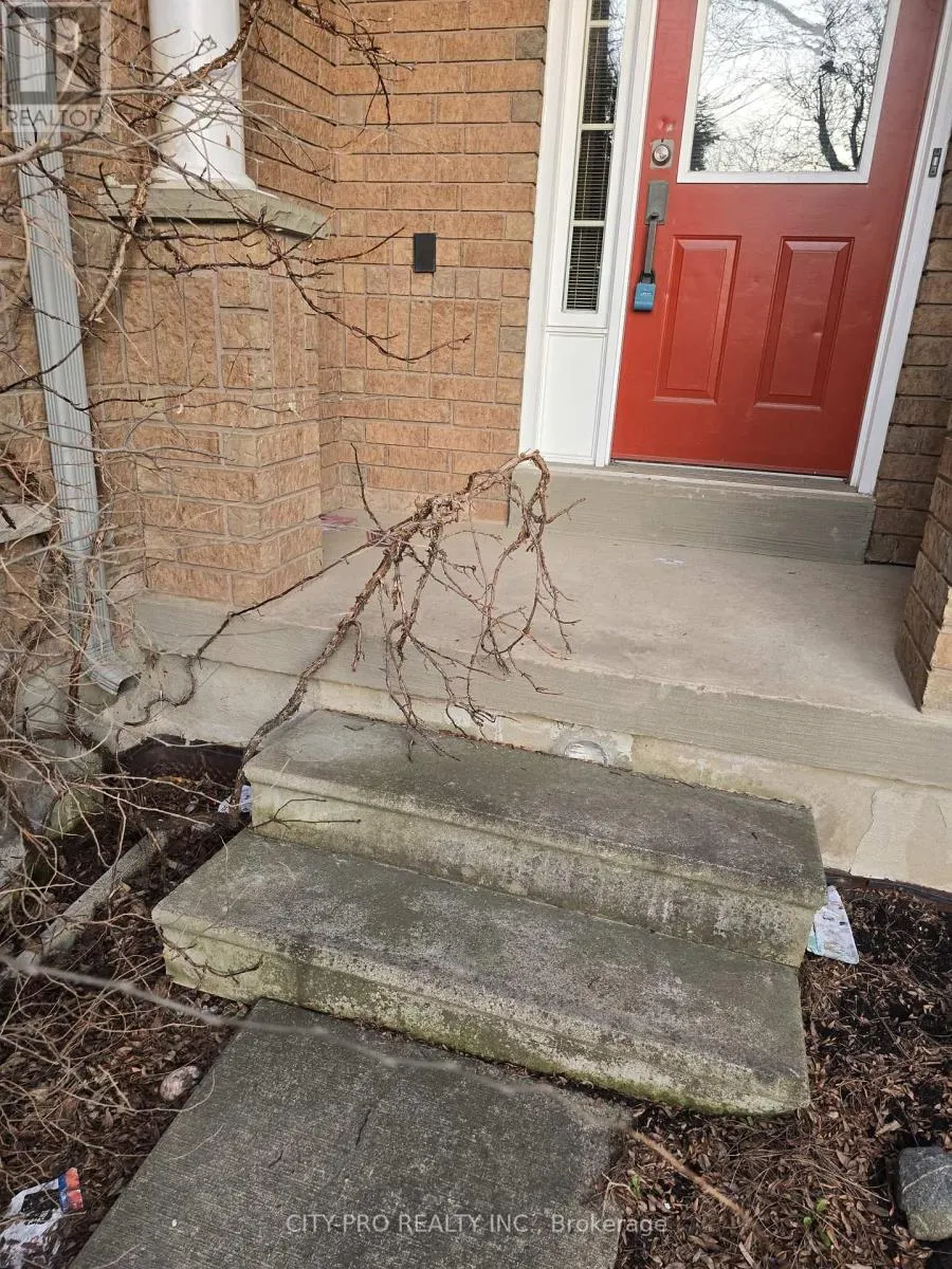 55 RAIN LILY LANE