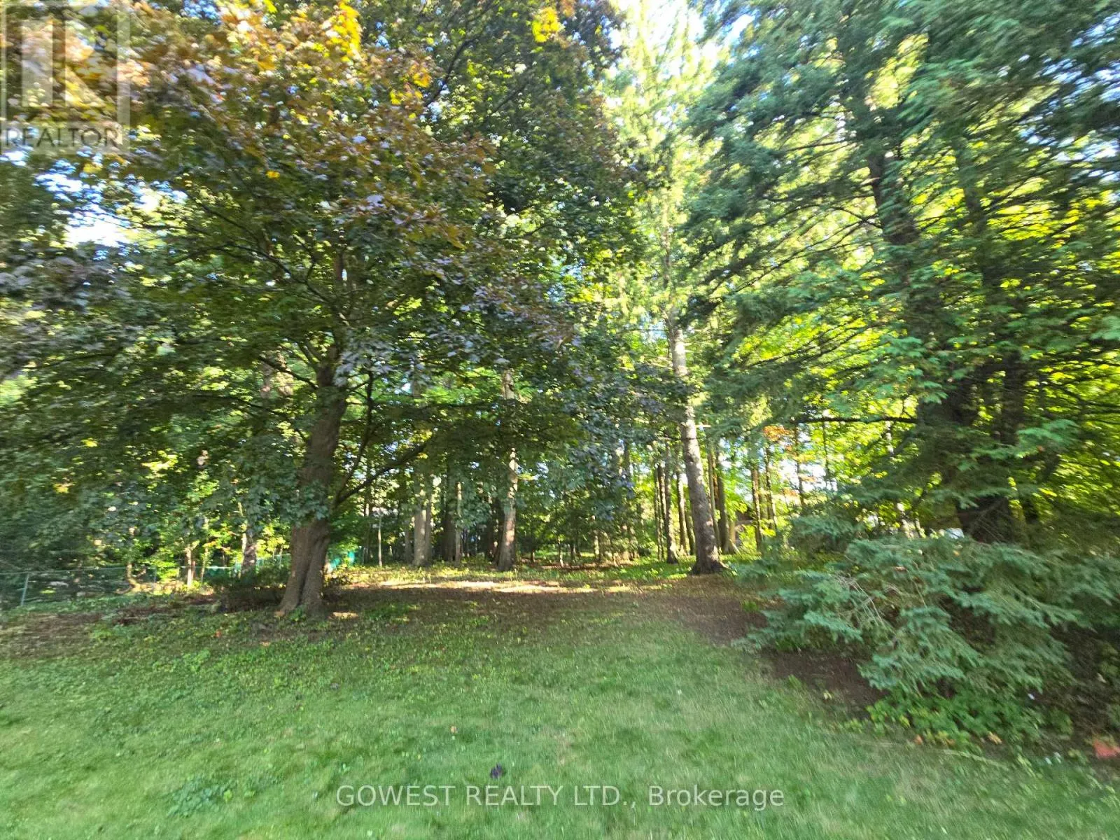62 PINEWOOD TRAIL
