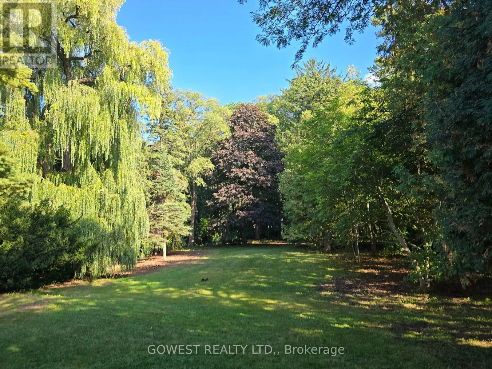 62 PINEWOOD TRAIL