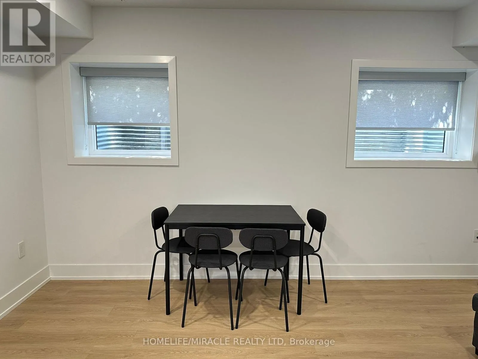BASEMENT - 1351 NORTHMOUNT AVENUE