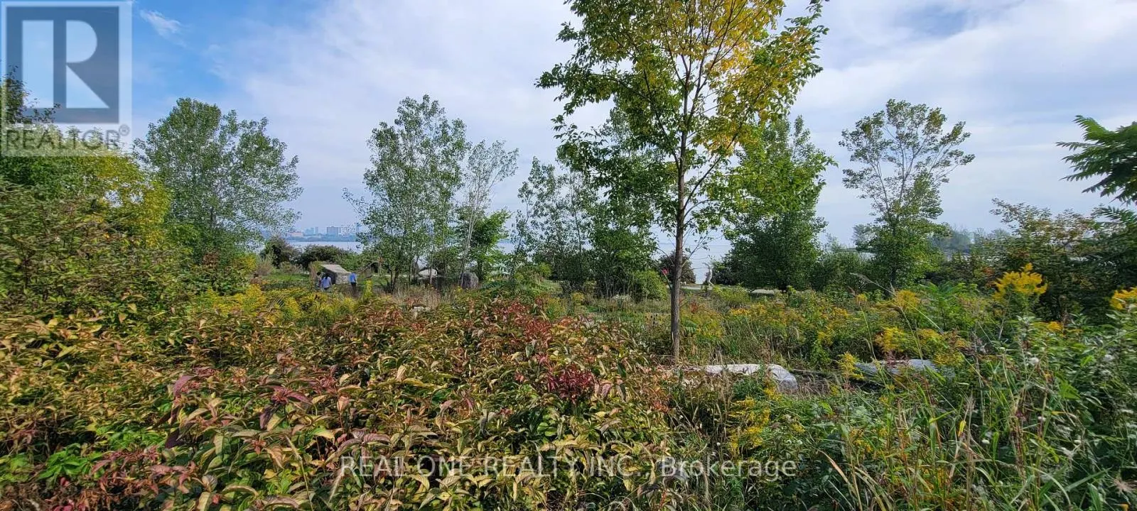 509 - 38 ANNIE CRAIG DRIVE