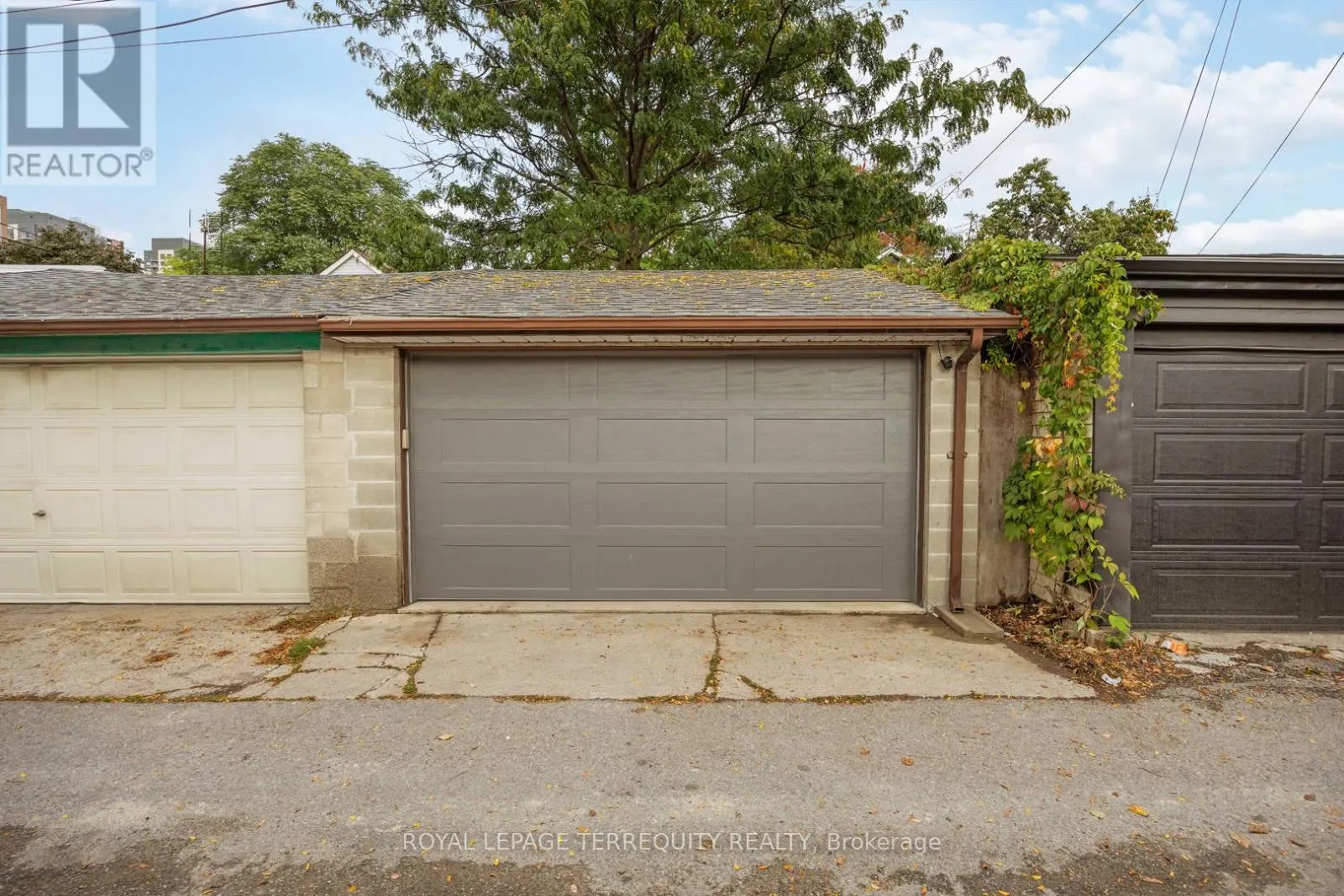 256 CAMPBELL AVENUE